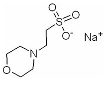 Sel acide de sodium de CAS 71119-23-8 MES-NA 2 (N-Morpholino) Ethanesulfonic