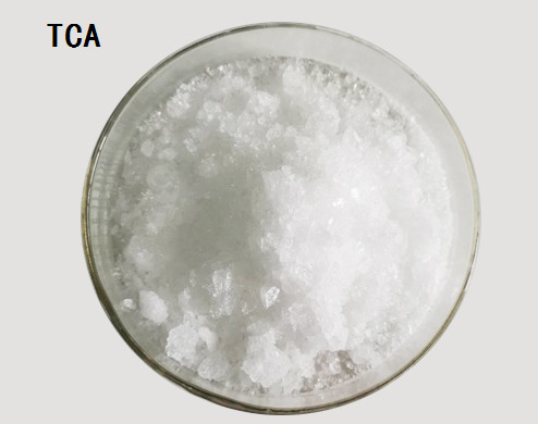 Hydrate de chloral de CAS 302-17-0 (ACIDE TRICHLORACÉTIQUE) C2H3Cl3O2